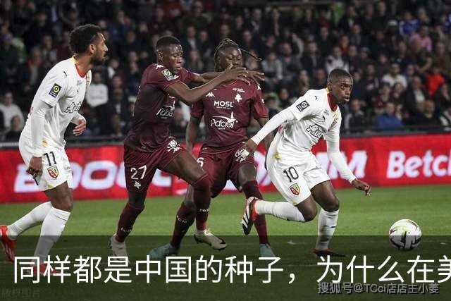同样都是中国的种子，为什么在美国种出的水稻，亩产要比中国高？