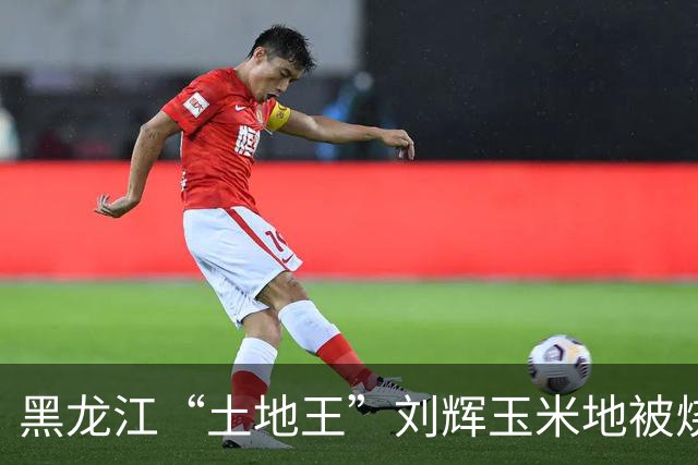 黑龙江“土地王”刘辉玉米地被烧后续来了！下架所有有关视频，自述前因后果